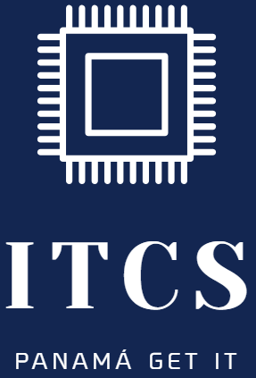 IT CONSULTING SERVICES